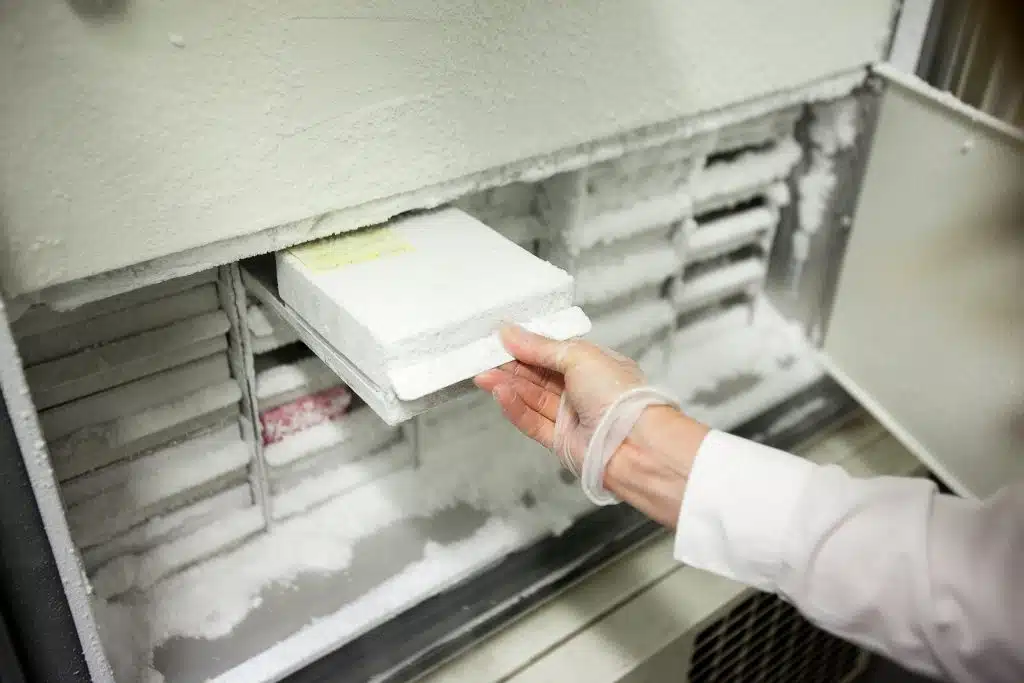 frozen medical samples