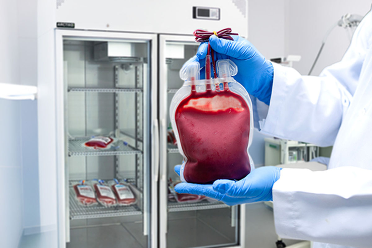 Blood Bank Application | Doctor Holding a Blood Bag