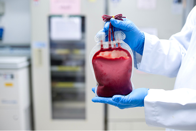 Blood Bank Application | Doctor Holding a Blood Bag
